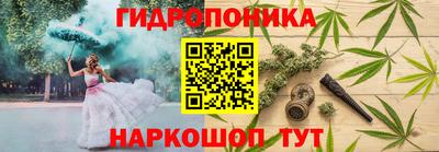 шишки Усть-Джегута