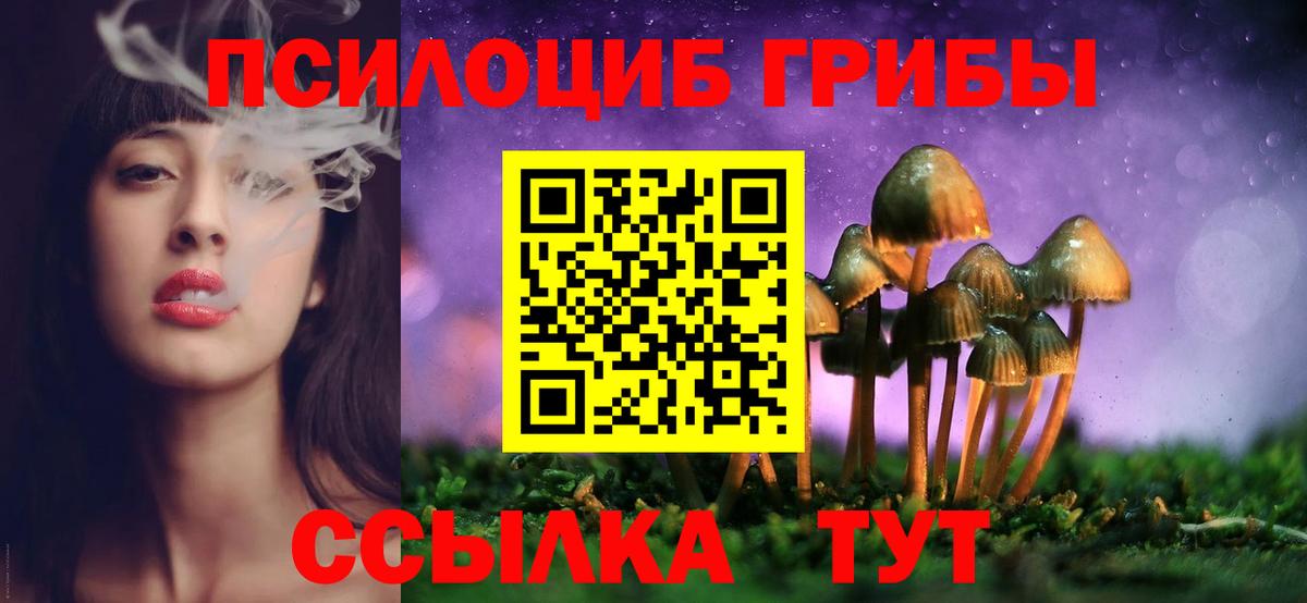 Галлюциногенные грибы Psilocybine cubensis  Галлюциногенные грибы Magic Shrooms  Вход с VPN  Нягань 